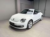 Volkswagen New Beetle New Beetle Cabrio 2.0 tdi 150cv - Volkswagen New Beetle mit Diesel-Antrieb: Cabrio