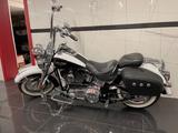 Harley-Davidson 1. BESITZ FLSTN Softail Deluxe | SCREAMIN EAGLE  - HARLEY-DAVIDSON 2005 SOFTAIL DELUXE