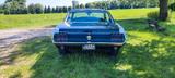 Ford Mustang Coupe 1967 S-Code - gebrauchte Ford Mustang aus dem Jahr 1967