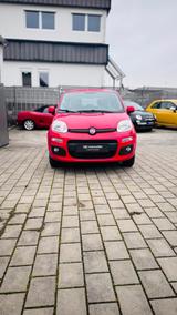 Fiat Panda 0.9 8V TwinAir WILD 4X4 Start&Stopp - Fiat Panda Gebrauchtwagen in Mannheim