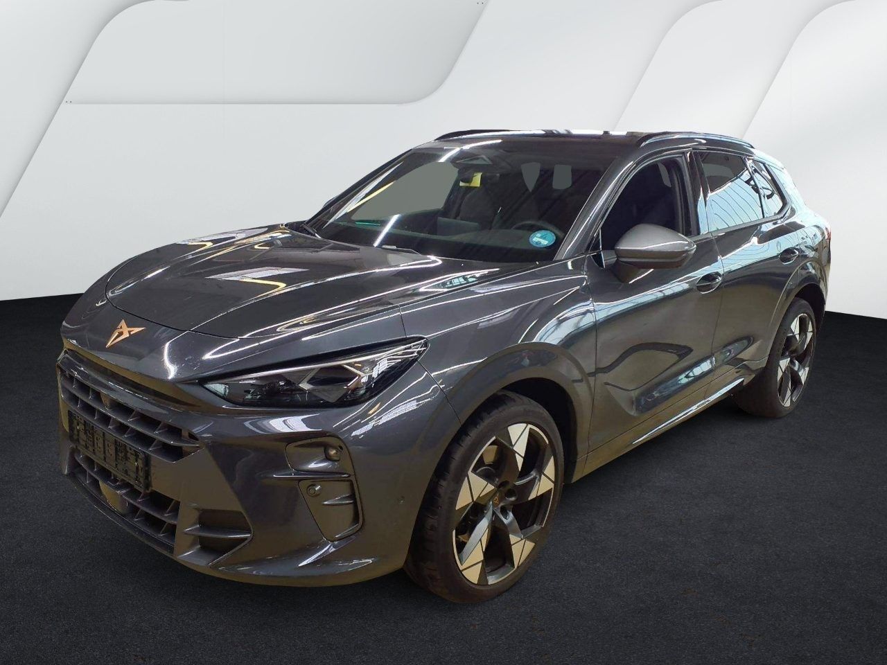 Cupra Terramar - Bild 3