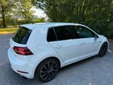 Volkswagen Golf 1.4 TSI BMT 92kW Highline  - Volkswagen: 1.9