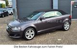 Audi A3 1.8 Cabriolet 160 PS SHZ TÜV NEU INSP. NEU - Audi A3: 16