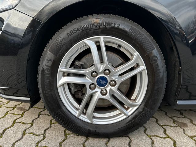 Focus Turnier Cool & Connect*RFK*SHZ*PDC