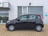Fiat Panda 1.0 CITY-PAKET 5-SITZE ALLWETTER-REIFEN - Fiat Panda: Sitze