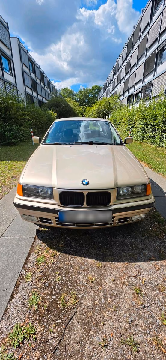 BMW 318