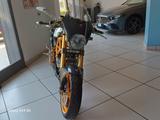 Ducati DUCATI MONSTER R 600 - DUCATI MONSTER 600