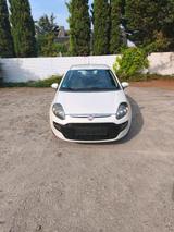 Fiat Punto - Fiat Punto Gebrauchtwagen in Mannheim
