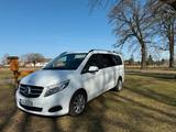 Mercedes-Benz Mercedes V-Klasse 250d WDF447 lang Edition... - Mercedes-Benz E 250: Van