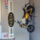 Honda Monkey 125 - 2025 - Angebote