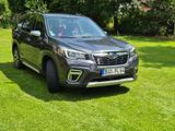 Subaru Forester 2.0ie Trend Lineartronic Trend - Subaru Forester mit Benzin-Antrieb: Geländewagen, 2.0