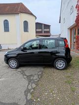 Fiat New Panda 1.2 8V EASY - Fiat New Panda Benziner Gebrauchtwagen