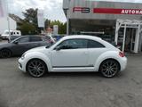 Volkswagen Beetle Lim. Club BMT DSG - Volkswagen Beetle: Weiß