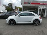 Volkswagen Beetle Lim. Club BMT DSG - Volkswagen Beetle aus 2015