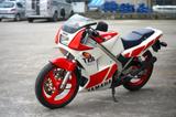 Yamaha TZR 250 - YAMAHA TZ
