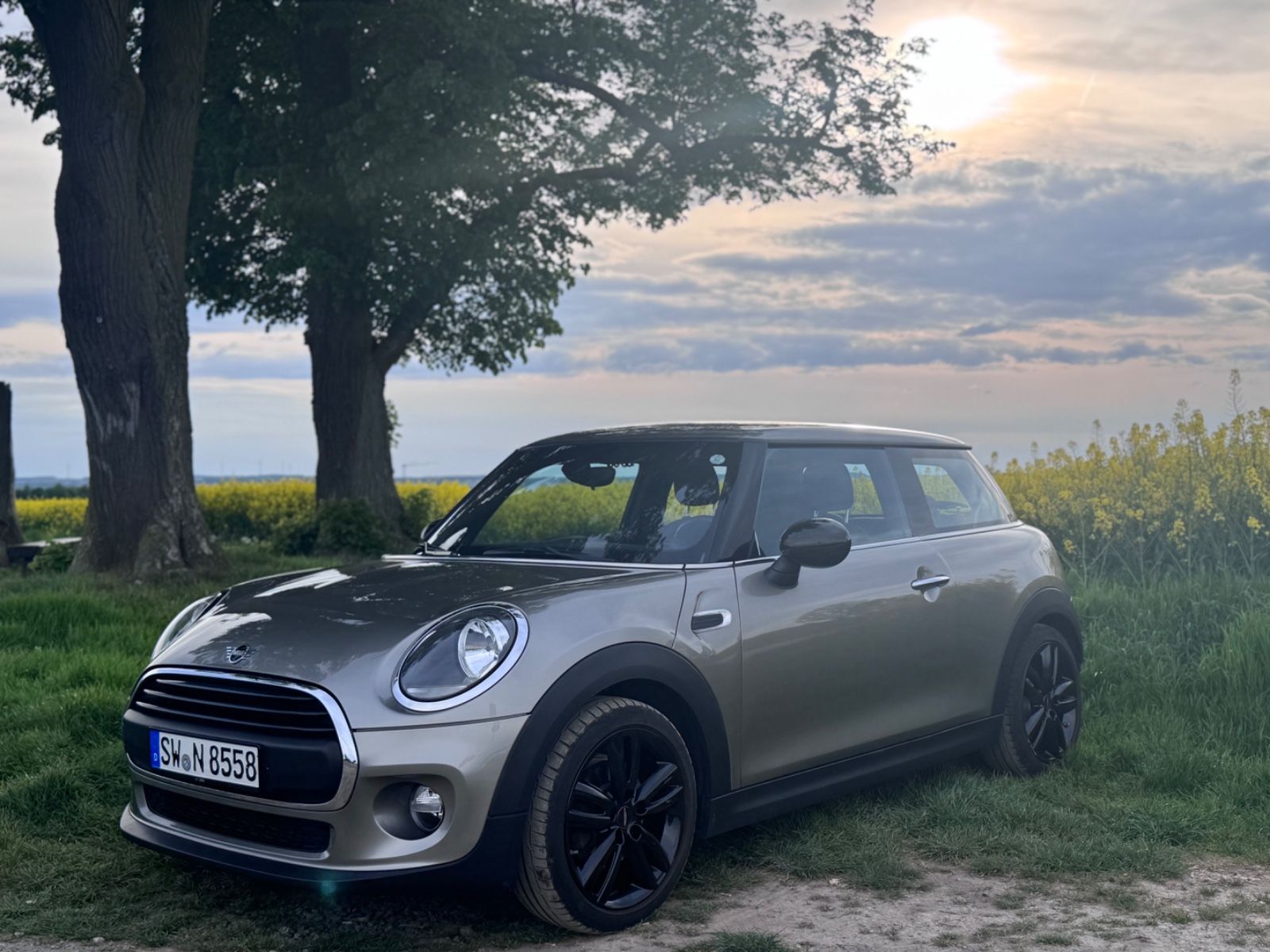 MINI ONE