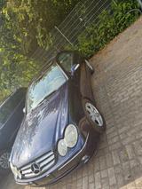 Mercedes-Benz CLK 240 ELEGANCE Elegance - blaue Mercedes-Benz CLK 240