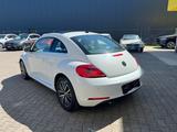 Volkswagen Beetle Lim. Design/PANO/SHZ/KLIMA/NAVI/TEMPOMAT - Volkswagen Beetle: Weiß