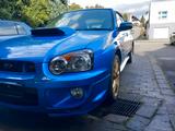 Subaru WRX STI - Subaru WRX STI aus 2003