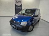Fiat Panda 1.1 8V Active + 4Season/2.Hand/5.Türen - Fiat Panda: 1.4