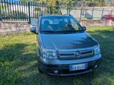 Fiat Panda 1.2 Emotion - Fiat Panda Emotion mit Benzin-Antrieb