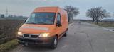 Fiat Ducato 2,8 JTD 4x4 Maxi Dangel - Fiat Ducato: Allradantrieb