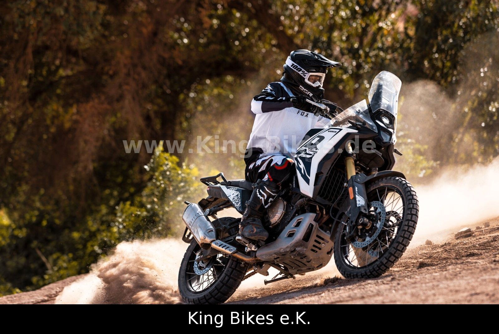 Fahrzeugabbildung VOGE 800 DS RALLY / DS800X RALLY - 3 Jahre Garantie