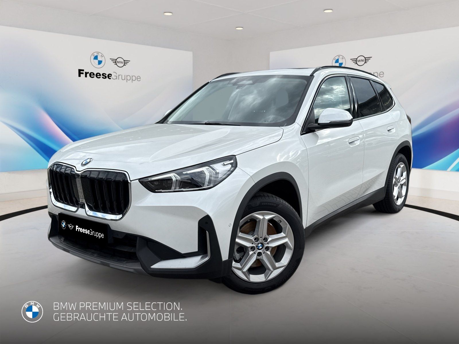 BMW X1 sDrive20i foto 1
