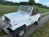 Jeep Wrangler 4.0 YJ - Jeep Wrangler: Yj