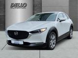 Mazda CX-30 Selection M Hybrid 2.0 HUD Navi LED ACC El - Mazda CX-30 in Hamburg