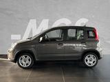 Fiat Panda Panda Hybrid MY23 1.0 GSE #SOFORT #RADIO - Fiat Panda Tageszulassungen