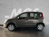 Fiat Panda Panda Hybrid MY23 1.0 GSE #SOFORT #RADIO - Fiat Panda Tageszulassungen