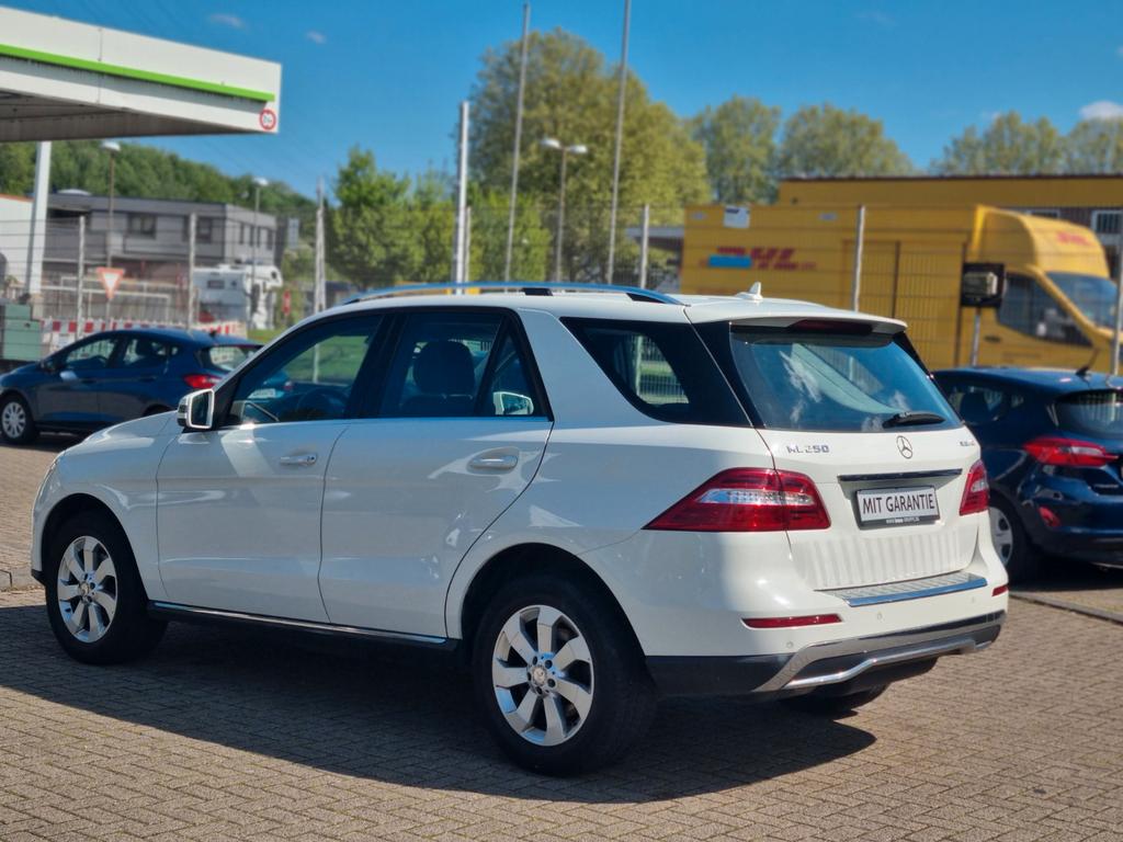 Mercedes-Benz ML 250