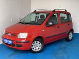 Fiat Panda 1.2 8V Dynamic/Nur 45.477 km/KLIMA - Fiat Panda mit Benzin-Antrieb: Limousine