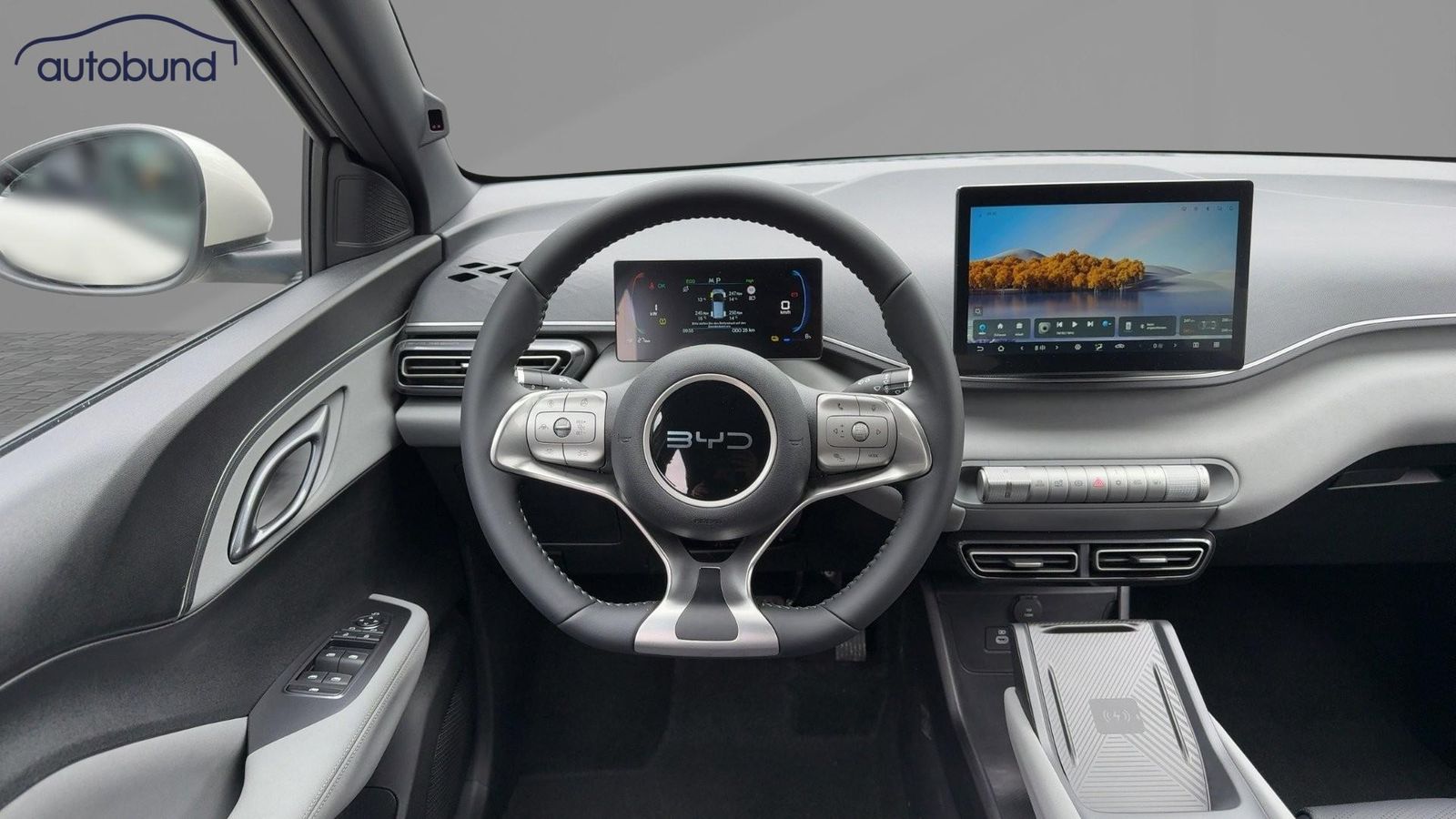 BYD DOLPHIN SURF