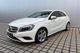 Mercedes-Benz A 180 BlueEfficiency Bi-Xenon NAVI AHK T-LEDER - Mercedes-Benz: Weiß