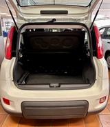 Fiat Panda Base 1.0 GSE Hybrid - Fiat Panda Gebrauchtwagen in Bremen