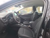 Ford Focus - Vorschau Bild 7