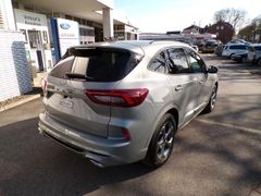 Fahrzeugabbildung Ford Kuga ST Line FHEV Automatik Winterpaket  / FGS 5