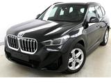 BMW X1 sDrive 20i M Sport HeadUp ACC 360°Kam eSitze - BMW: Schwarz, Sportfahrwerk
