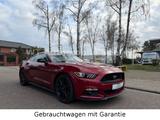 Ford Mustang GT 5.0 Fastback TÜV NEU Garantie - Ford: Fastback