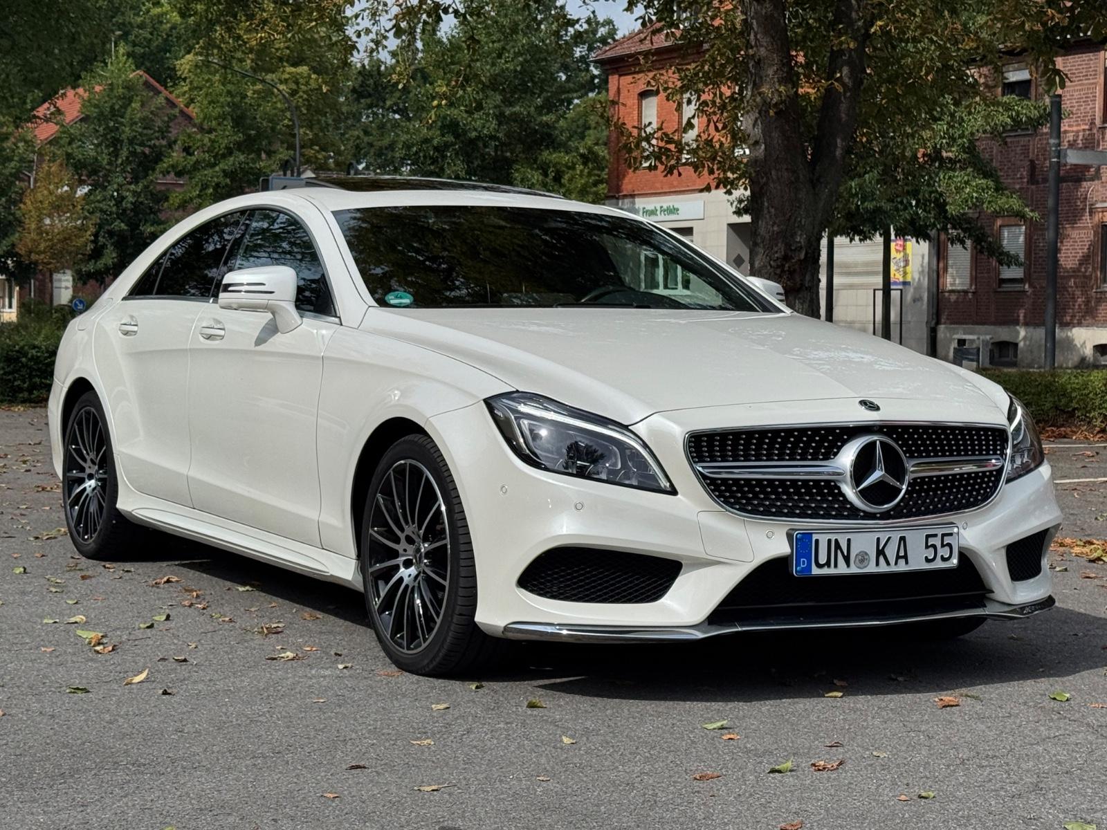 Mercedes-Benz CLS 250 d 4MATIC -AMG-Paket/SD/360grad