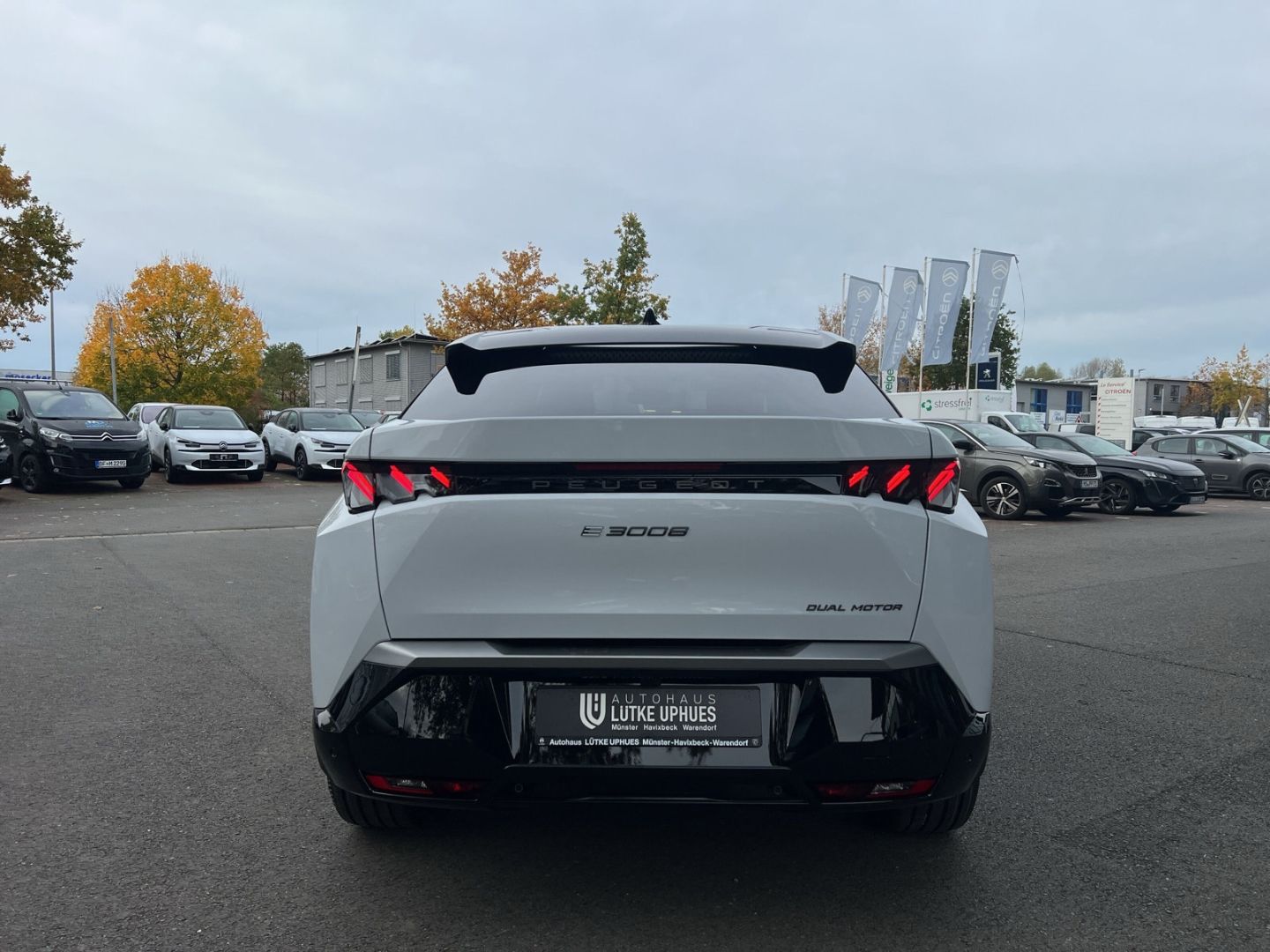 Fahrzeugabbildung Peugeot 3008 Launch Edition Dual-Elektromotor 325 AWD