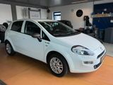 Fiat Punto Young / Schaltgetriebe / Klima - Fiat Punto aus 2016