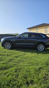 Jaguar F-Pace 25t AWD Automatik Prestige - Jaguar: Grün