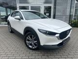 Mazda CX-30 SELECTION 360° Matrix BOSE Freisprech Klim - weiße Mazda CX-30