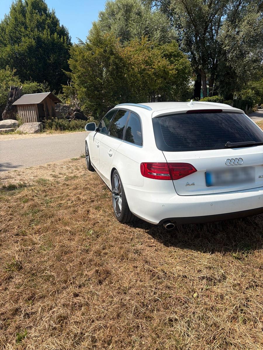 Audi A4 2009 — photo 6