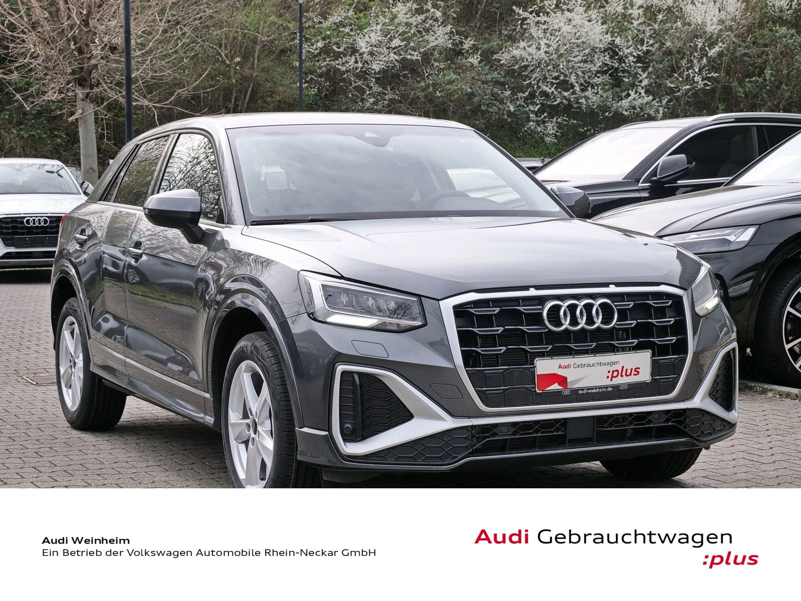Audi Q2 - Bild 4