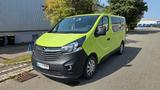 Opel Vivaro - Opel Vivaro: Grün