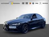 Alfa Romeo Giulia Quadrifoglio Verde 2.9 Tech-Paket Akrapov - Alfa Romeo Giulia quadrifoglio mit Benzin-Antrieb